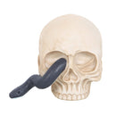 Serpents Gaze Skull Ornament with Snake