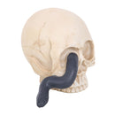 Serpents Gaze Skull Ornament with Snake