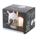 Serpents Gaze Skull Ornament with Snake