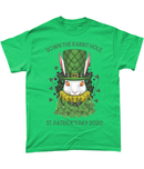 St Patrick's Day Down the Rabbit Hole T Shirt - G Hatch Clothing 